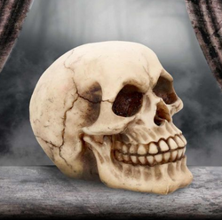 Just a wee skull