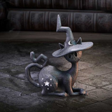 spell cats