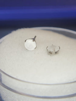 Anatometal- Sandblasted.