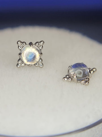 Anatometal - 18k white gold Zia with Rainbow Moonstone