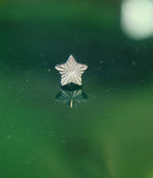 Junipurr lazer etched threadless end.