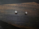 Neometal titanium disks.