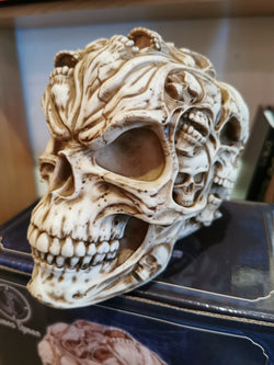 skull of skulls