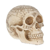 Astrological skull