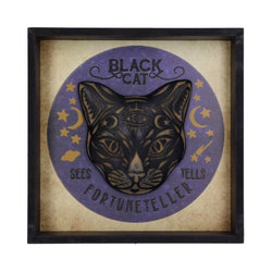 Black Cat Fortune Teller