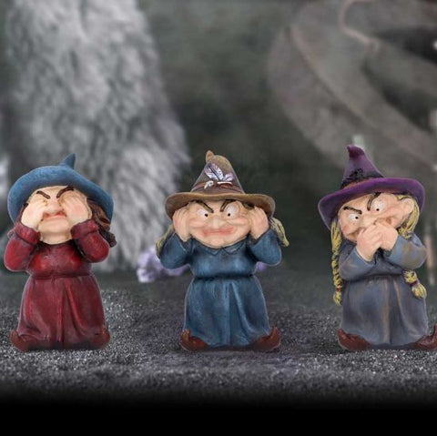 Three wise witches