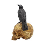 Crow skull box
