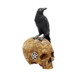 Crow skull box