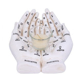 Palmist's Guide (White)